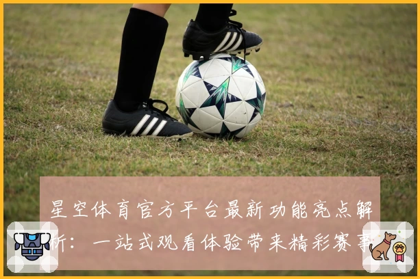 星空体育官方平台最新功能亮点解析：一站式观看体验带来精彩赛事盛宴